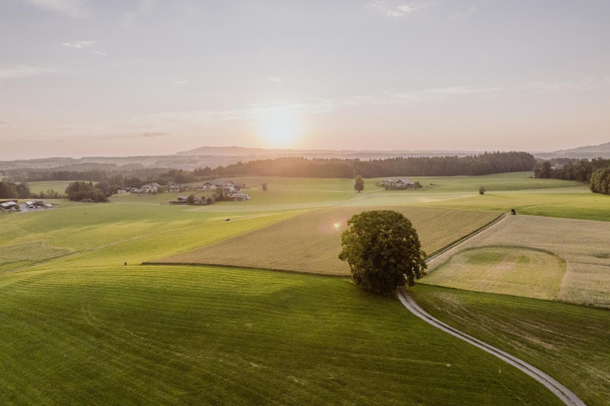 Landhotel Gschirnwirt Eugendorf Exteriör bild
